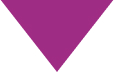 purple-traingle purple-traingle